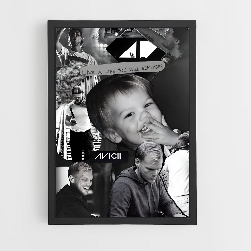 ap-avicii-12 cadre Noir