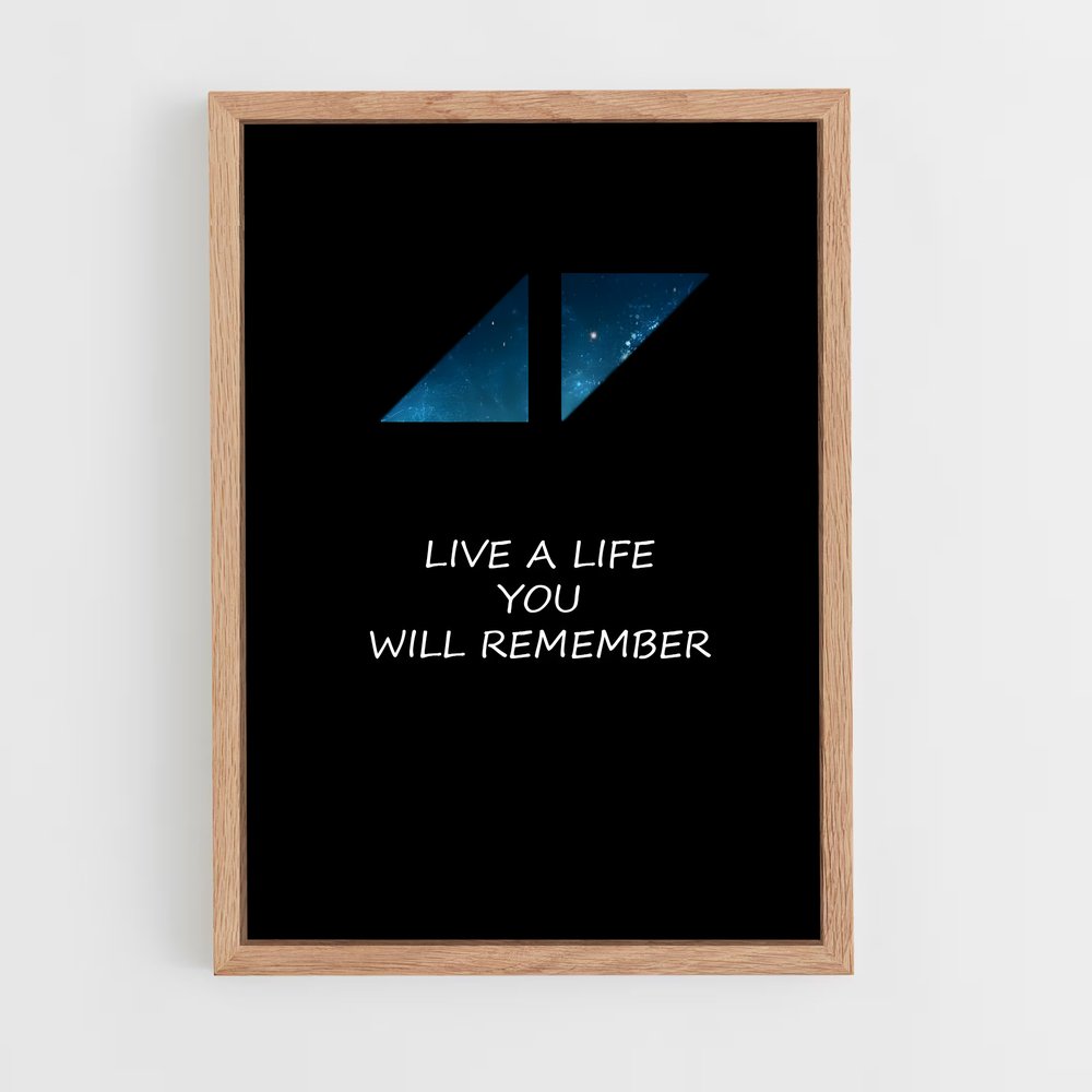 ap-avicii-13 cadre Bois clair