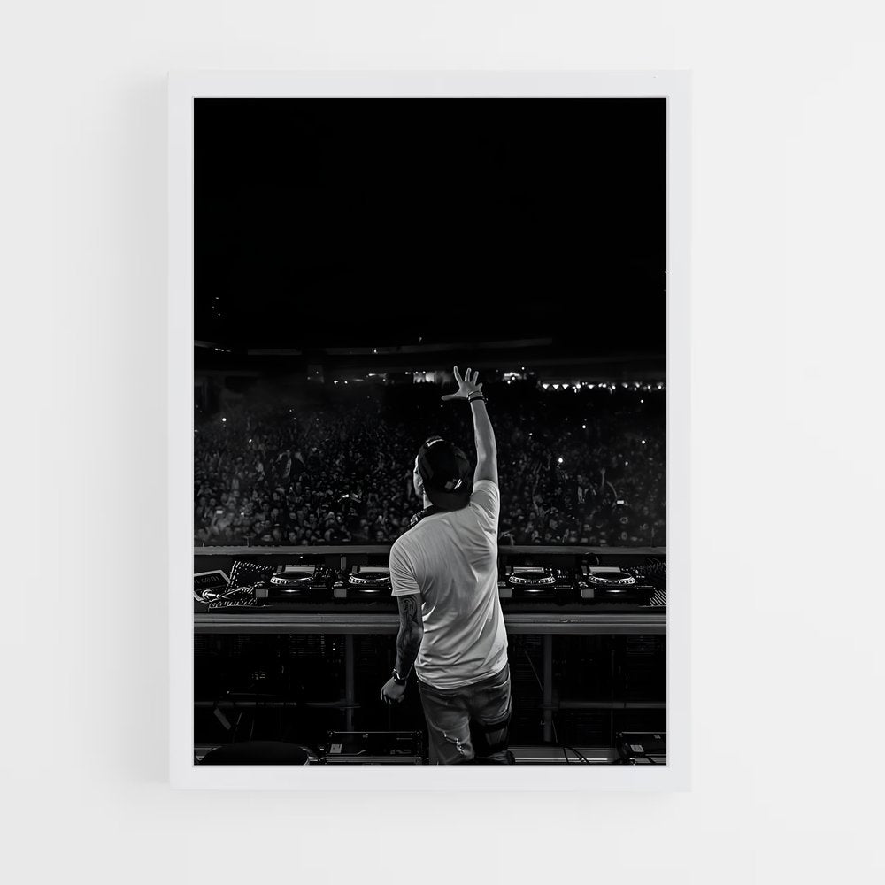 ap-avicii-2 cadre Blanc