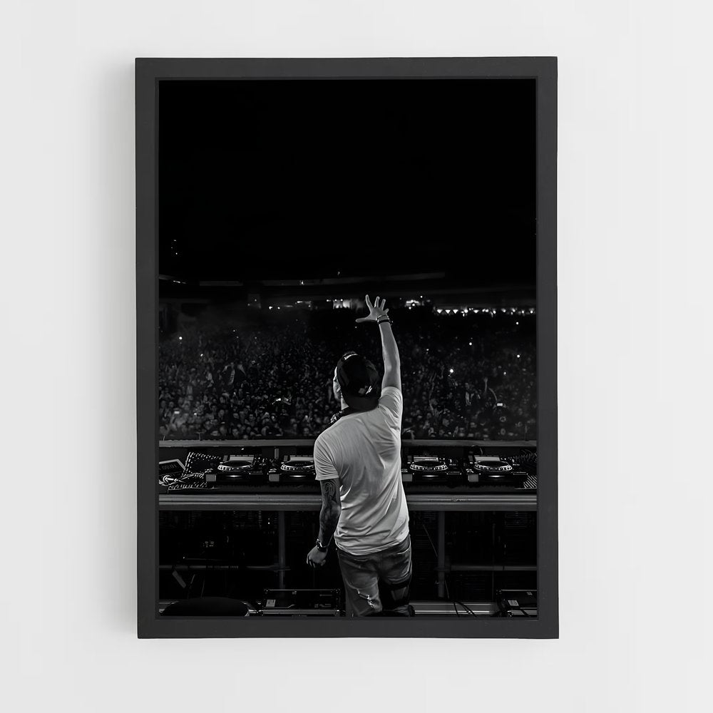 ap-avicii-2 cadre Noir
