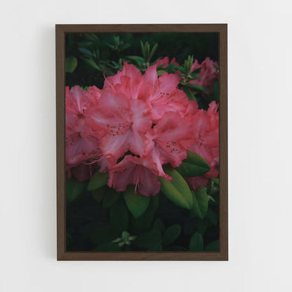 ap-azalea-5 cadre Bois foncé