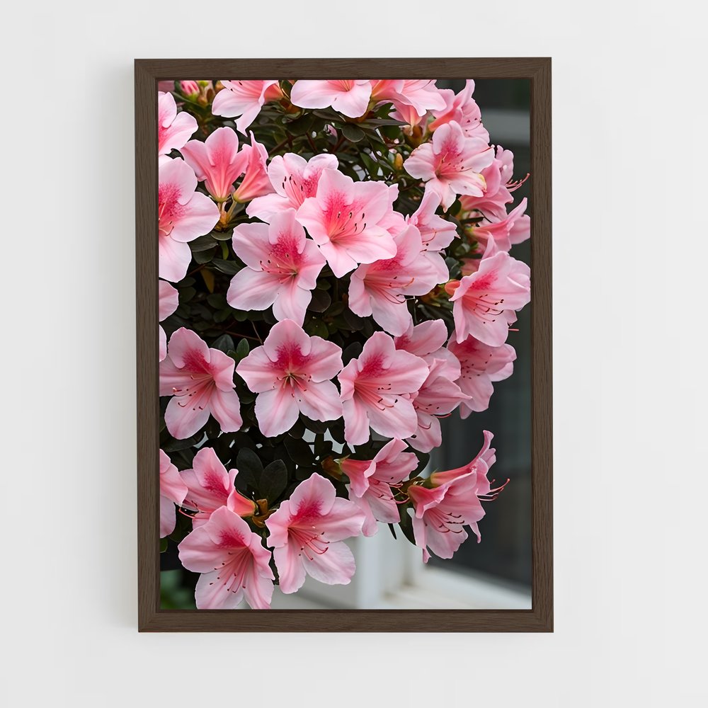 ap-azalea-8 cadre Bois foncé