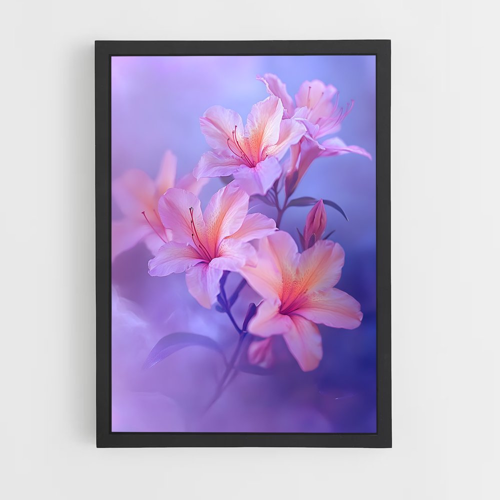 ap-azalea-9 cadre Noir