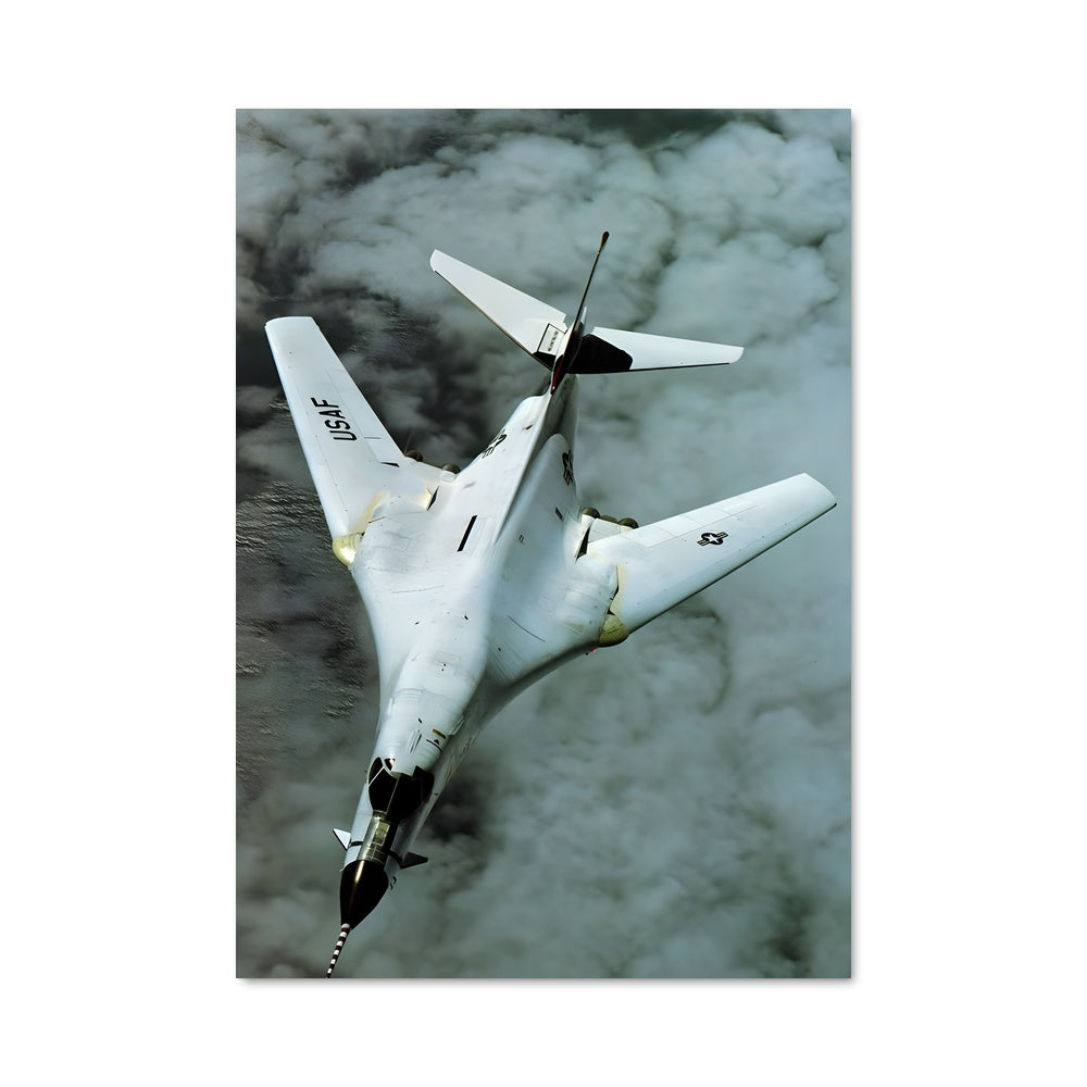 Poster Vol de Combat