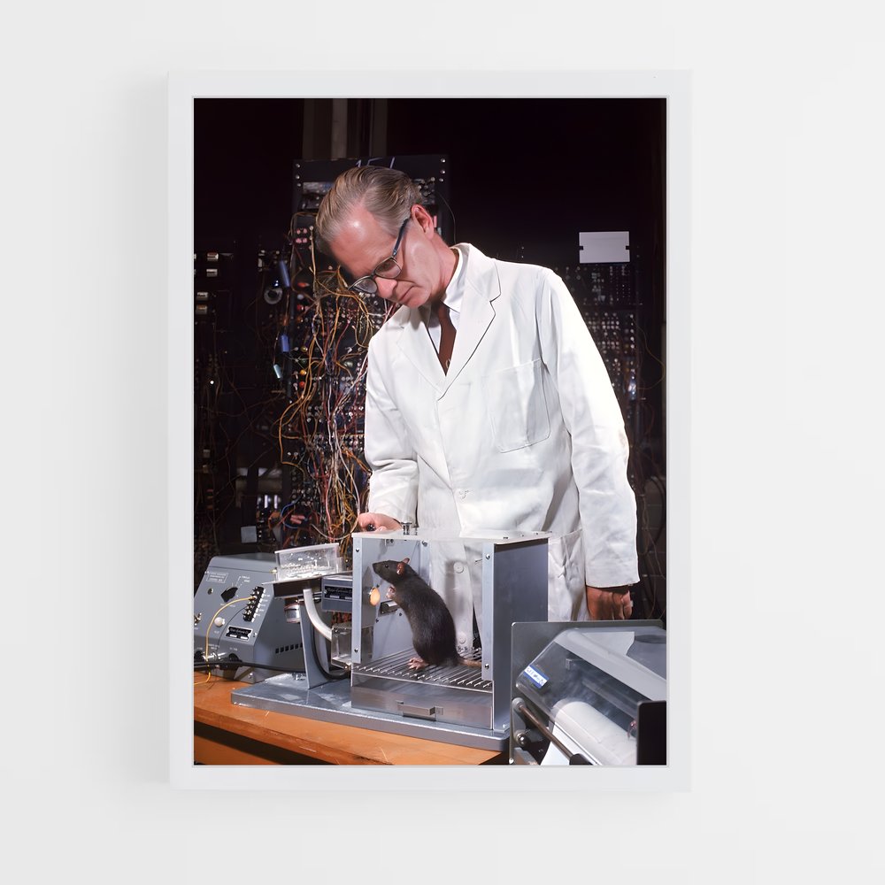 ap-b.f. skinner-2 cadre Blanc