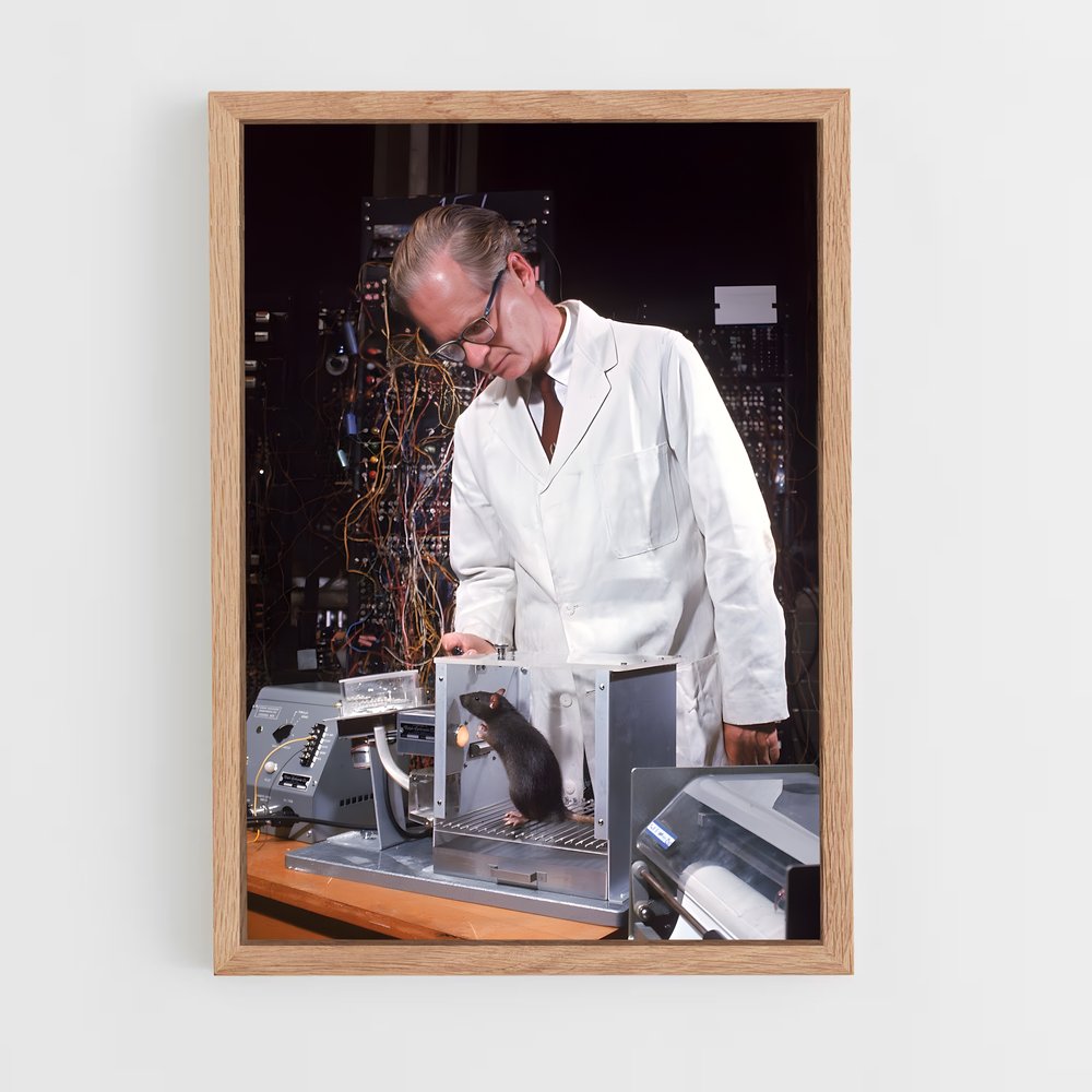 ap-b.f. skinner-2 cadre Bois clair