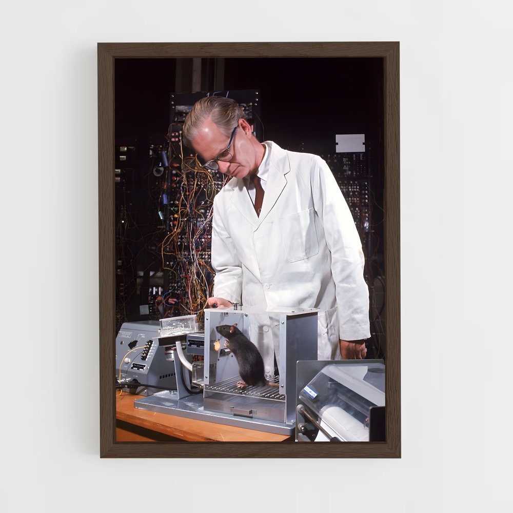 ap-b.f. skinner-2 cadre Bois foncé