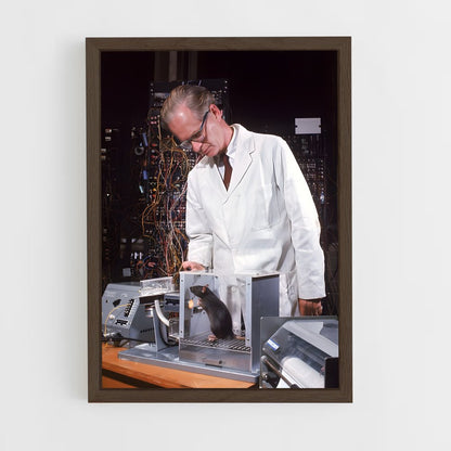 ap-b.f. skinner-2 cadre Bois foncé