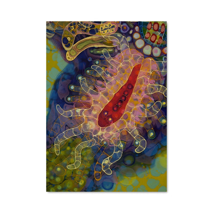 Poster Poisson Émeraude