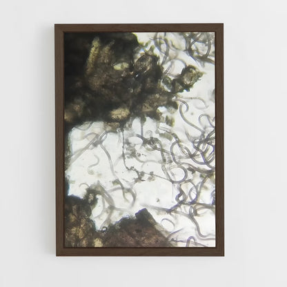 ap-bacteria-3 cadre Bois foncé
