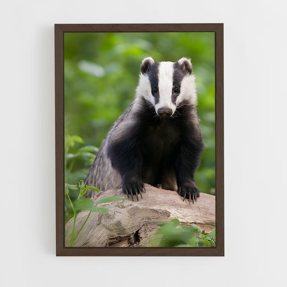 ap-badger-1 cadre Bois foncé