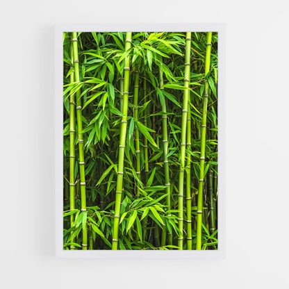 ap-bamboo-1 cadre Blanc