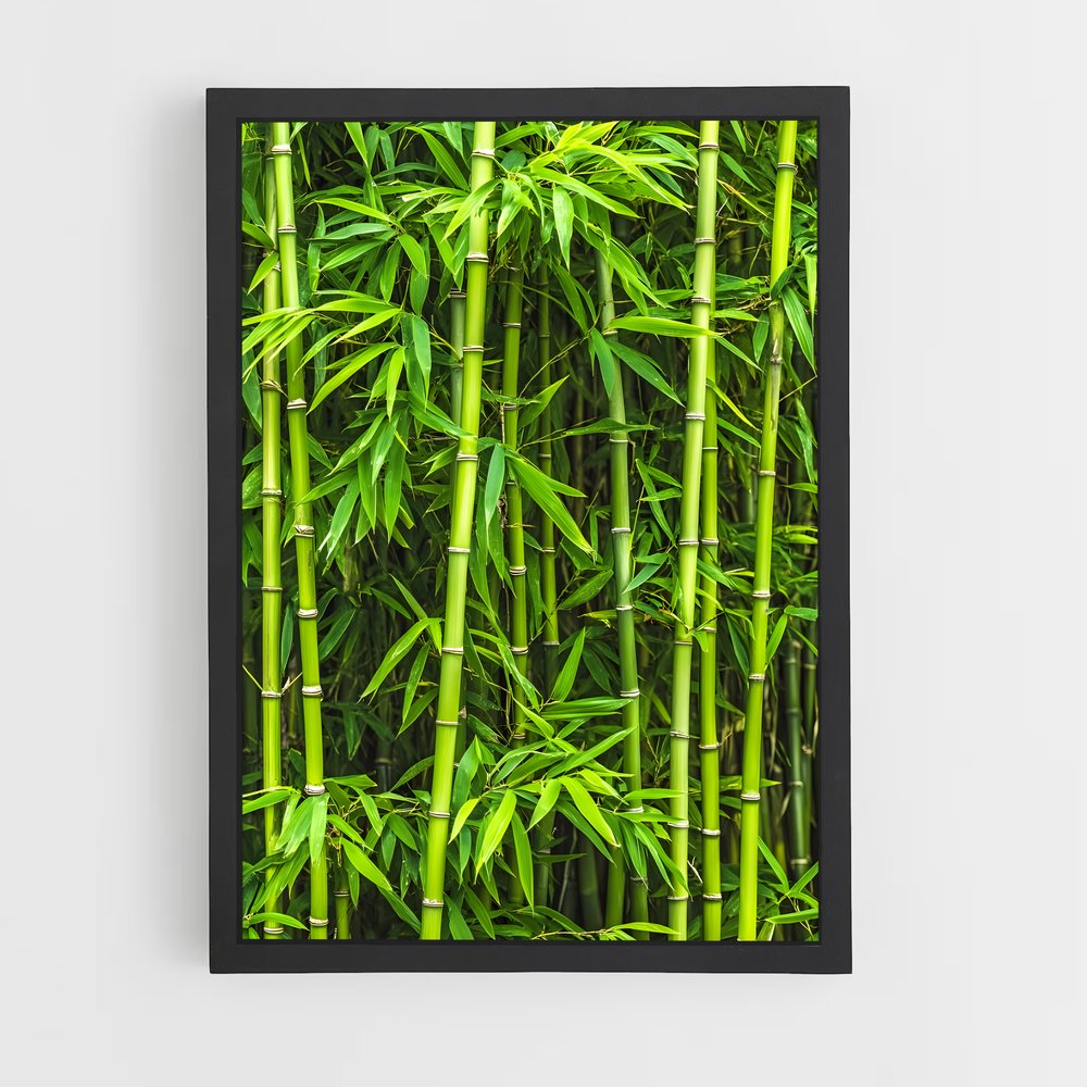 ap-bamboo-1 cadre Noir