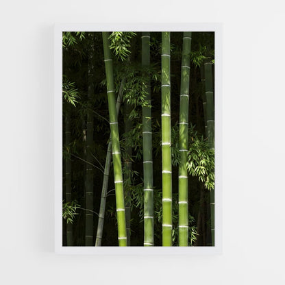 ap-bamboo-3 cadre Blanc