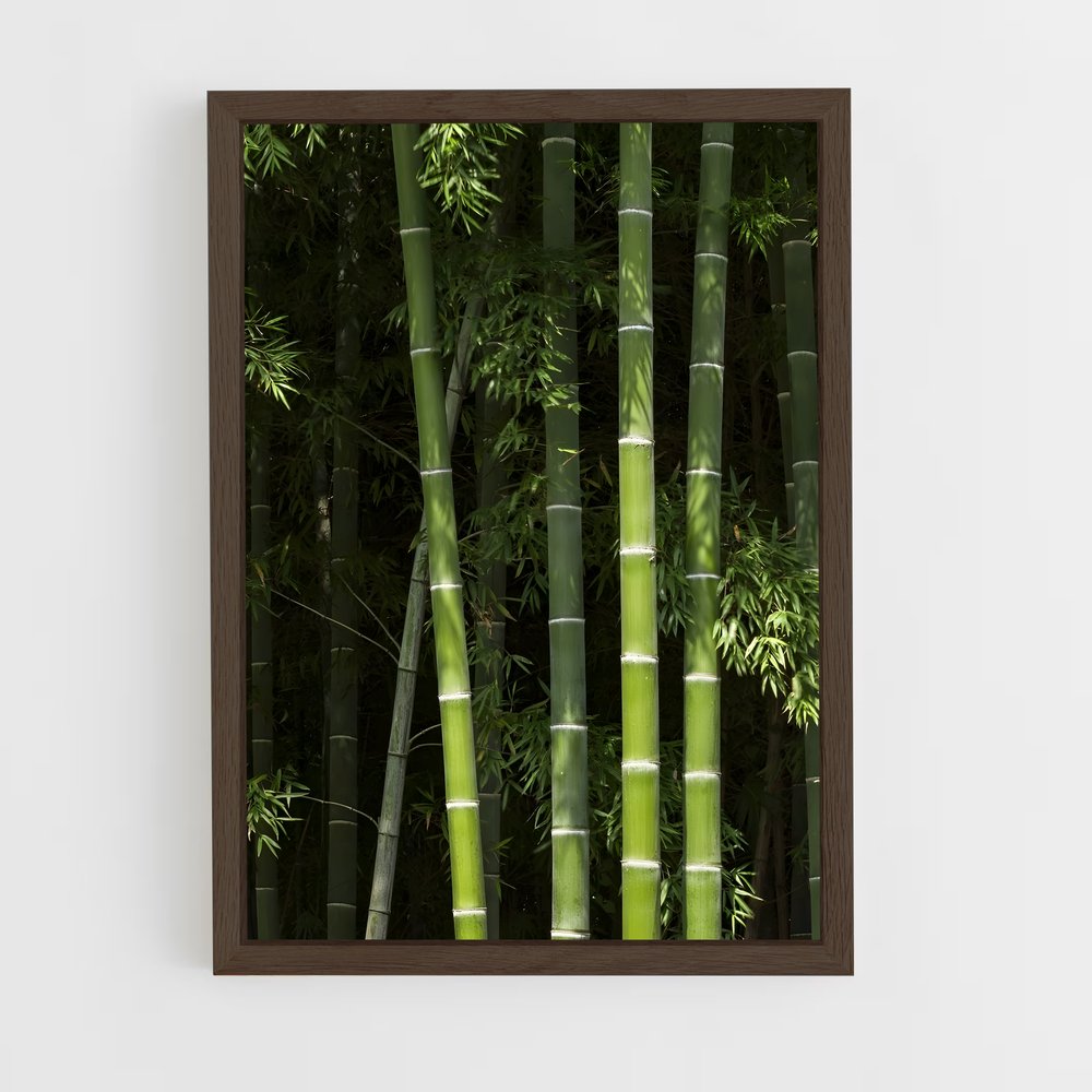 ap-bamboo-3 cadre Bois foncé