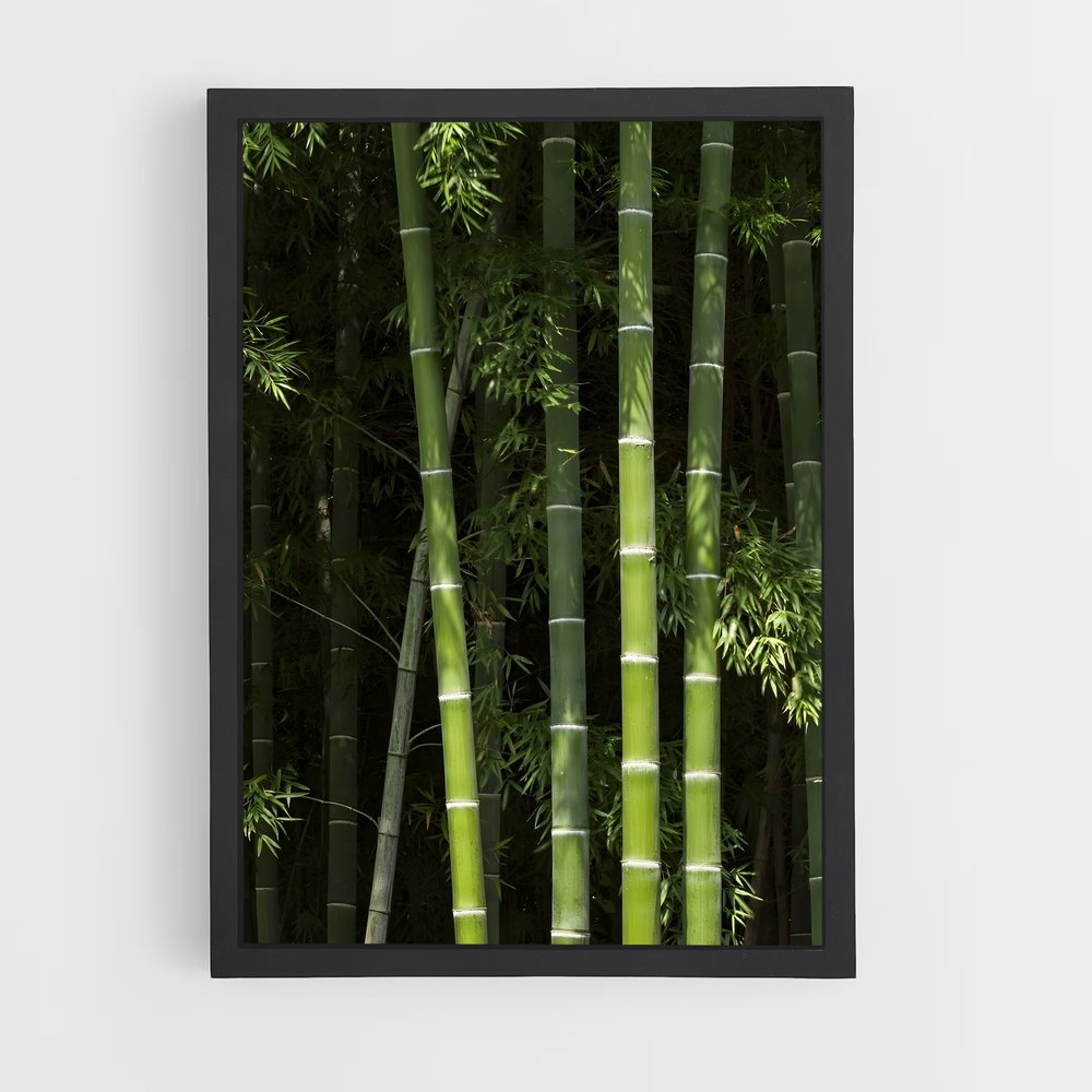 ap-bamboo-3 cadre Noir