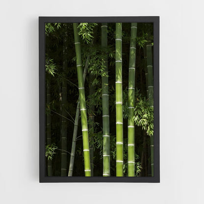 ap-bamboo-3 cadre Noir