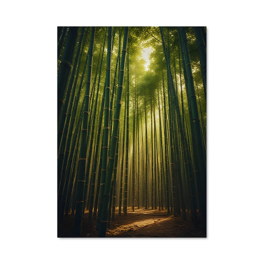 Poster Bamboo forest 94941