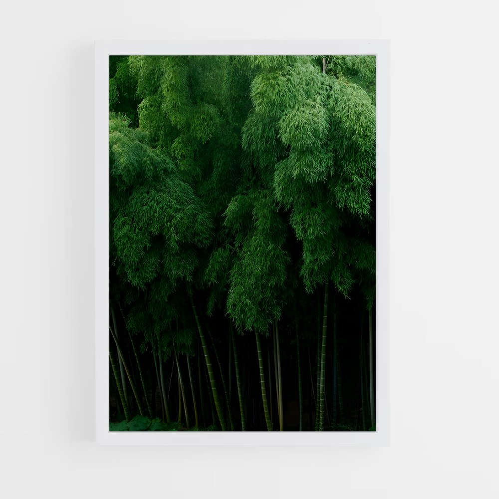 ap-bamboo grove-1 cadre Blanc