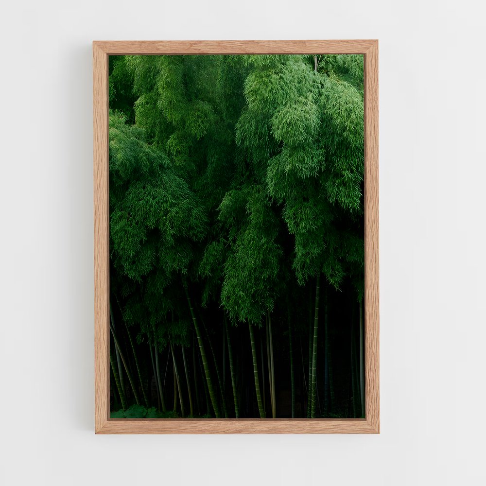 ap-bamboo grove-1 cadre Bois clair