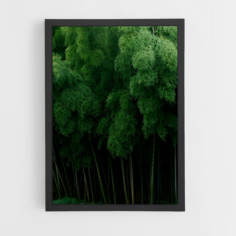 ap-bamboo grove-1 cadre Noir