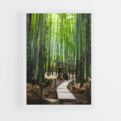 ap-bamboo grove-2 cadre Blanc