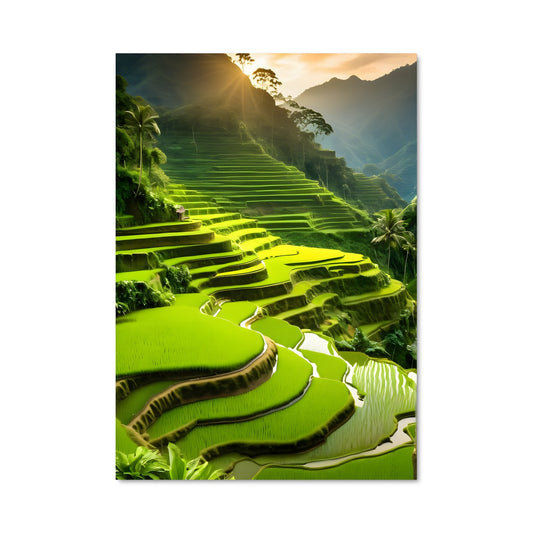 Poster Terres de Banaue