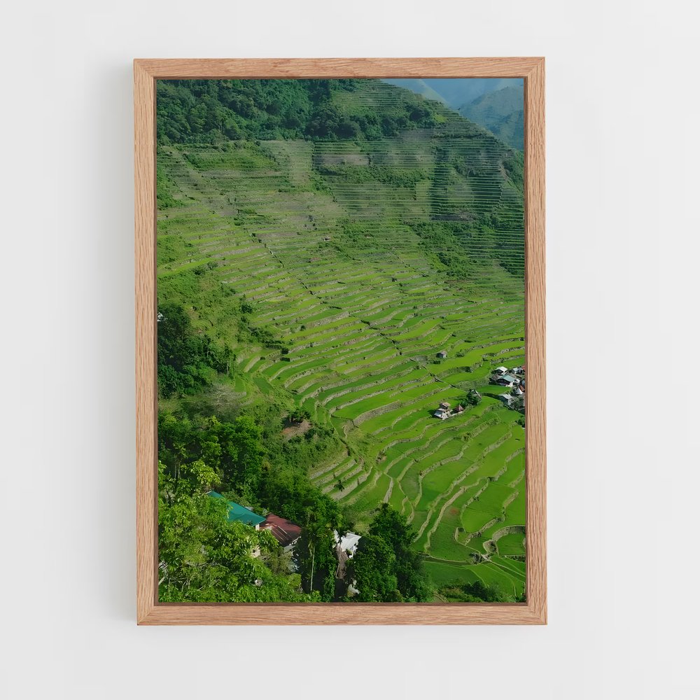 ap-banaue rice terraces-8 cadre Bois clair
