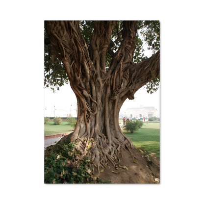 Poster Banyan tree 96921