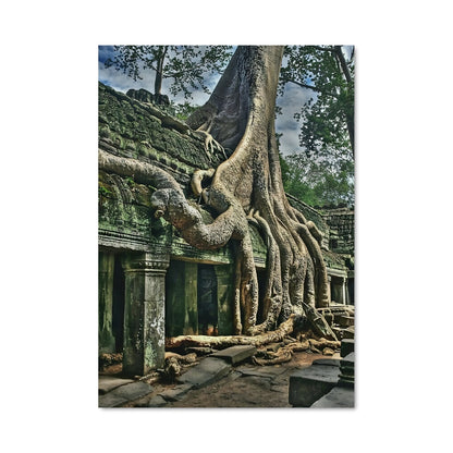 Poster Racine des Ruines