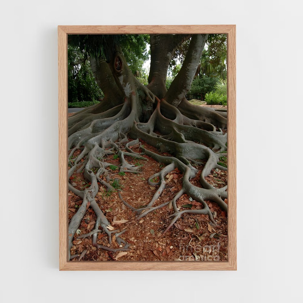 ap-banyan tree-3 cadre Bois clair