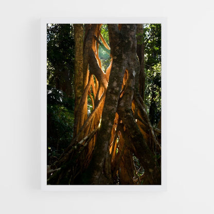 ap-banyan tree-5 cadre Blanc