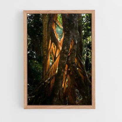 ap-banyan tree-5 cadre Bois clair