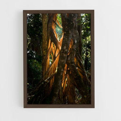 ap-banyan tree-5 cadre Bois foncé