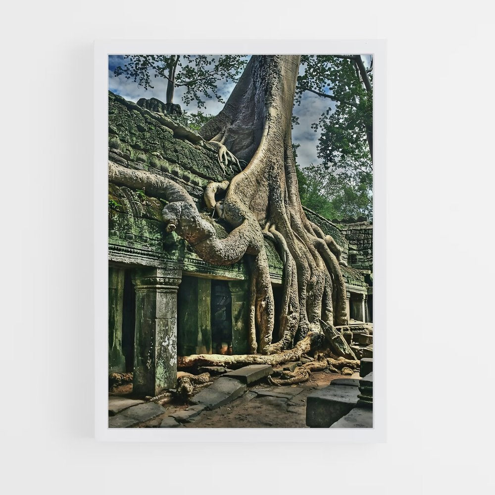 ap-banyan tree-6 cadre Blanc
