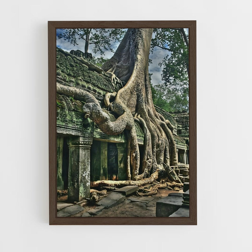 ap-banyan tree-6 cadre Bois foncé