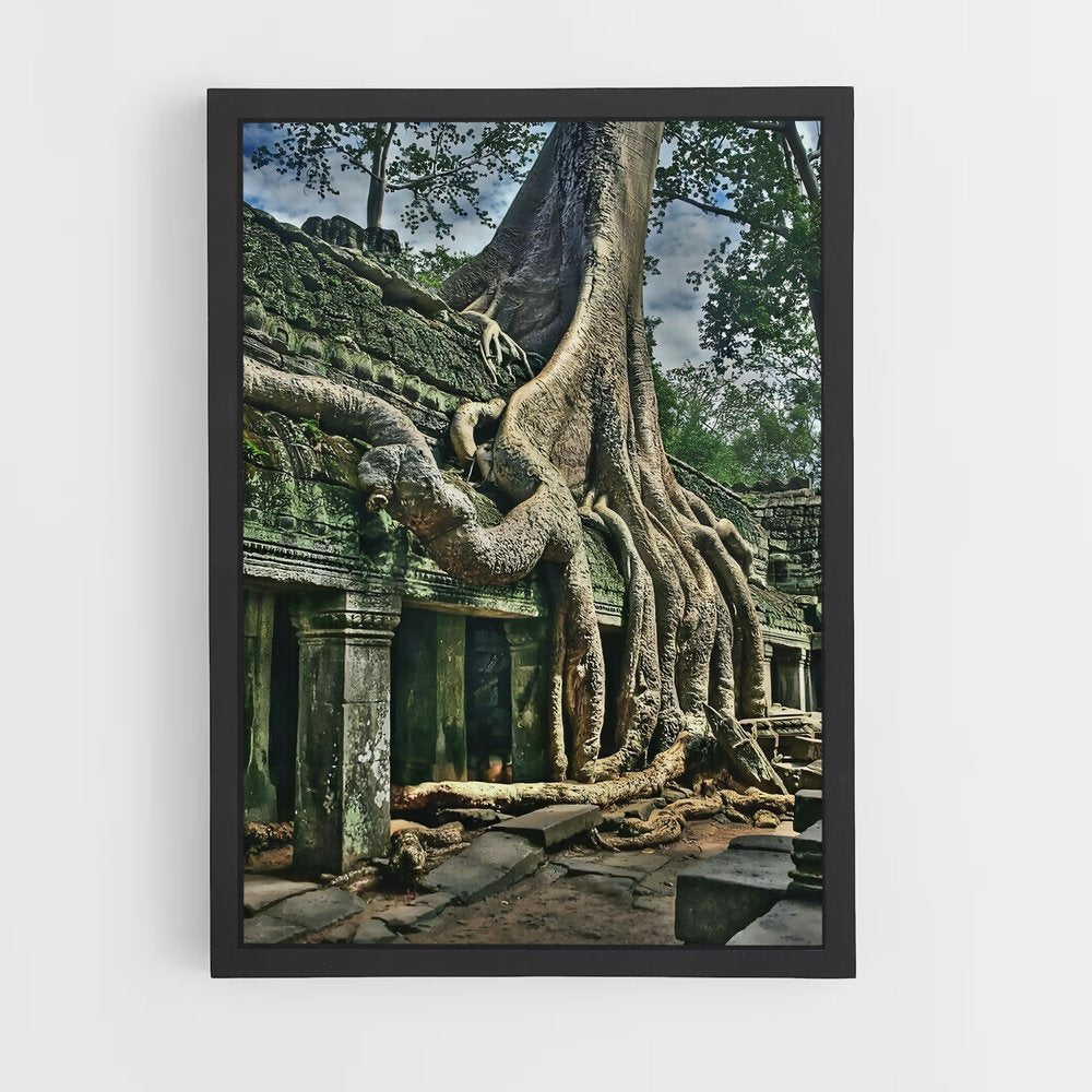 ap-banyan tree-6 cadre Noir