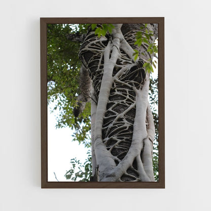 ap-banyan tree-7 cadre Bois foncé