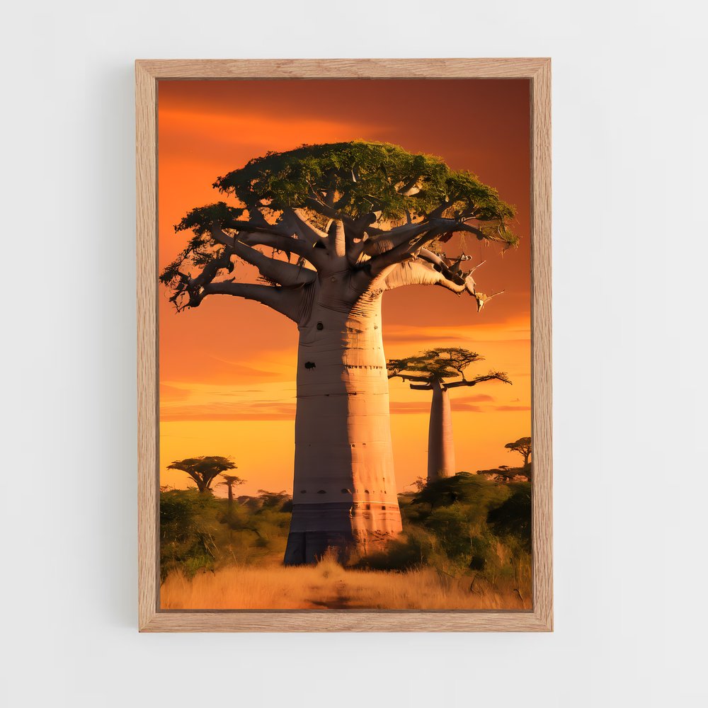 ap-baobab-6 cadre Bois clair