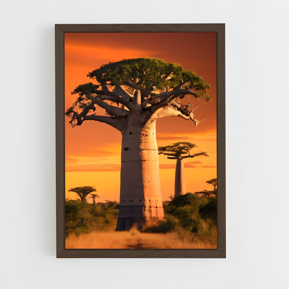 ap-baobab-6 cadre Bois foncé