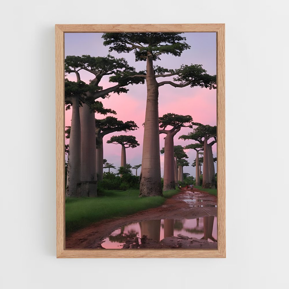 ap-baobab-7 cadre Bois clair