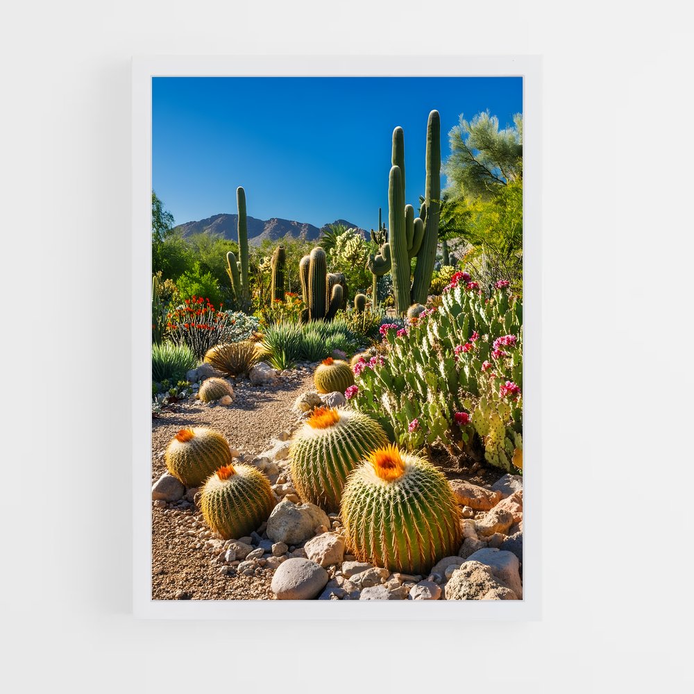 ap-barrel cactus-3 cadre Blanc