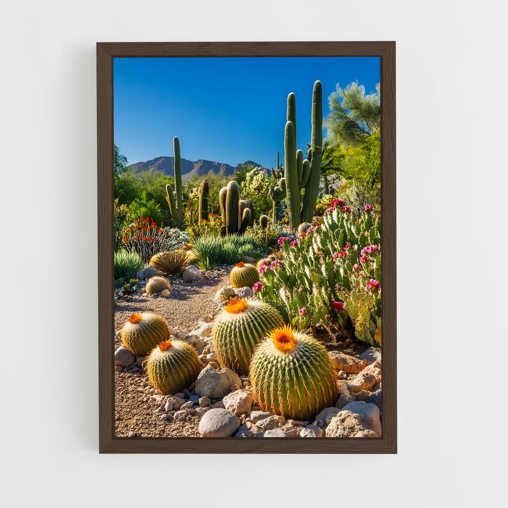 ap-barrel cactus-3 cadre Bois foncé
