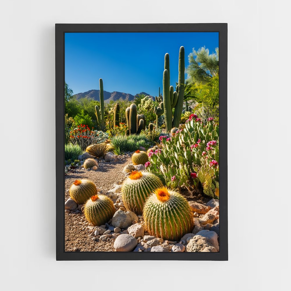 ap-barrel cactus-3 cadre Noir