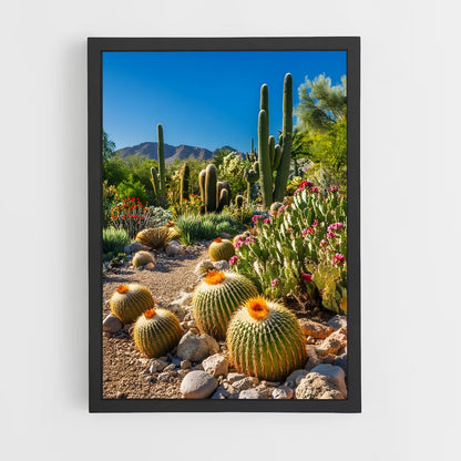 ap-barrel cactus-3 cadre Noir