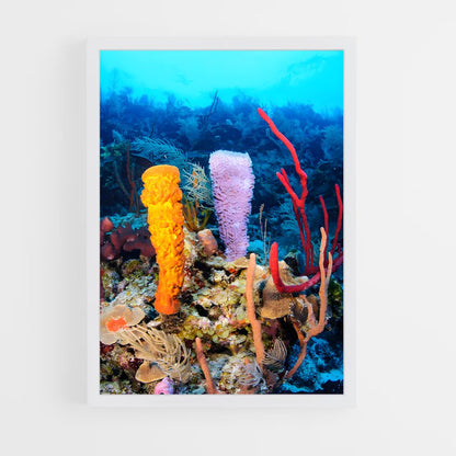 ap-barrier reef-2 cadre Blanc