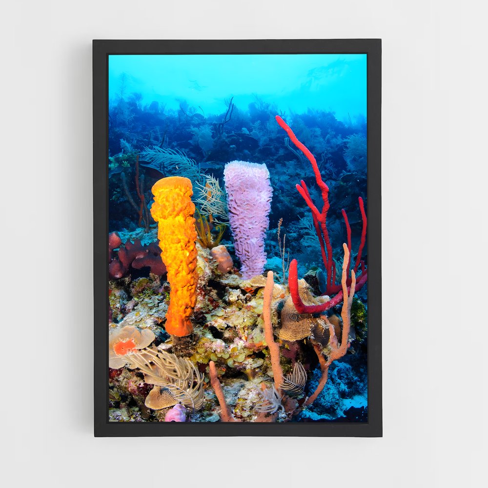 ap-barrier reef-2 cadre Noir