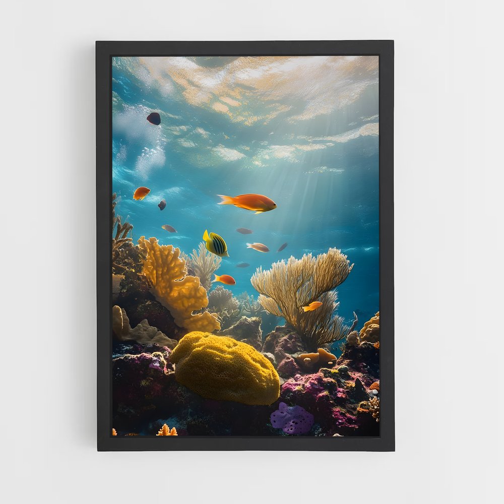 ap-barrier reef-3 cadre Noir