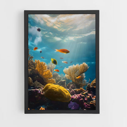 ap-barrier reef-3 cadre Noir