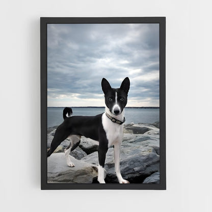 ap-basenji-3 cadre Noir